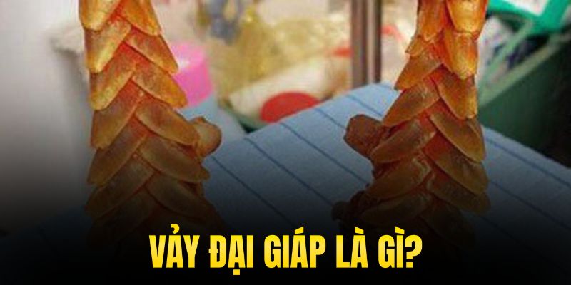 vảy đại giáp là gì